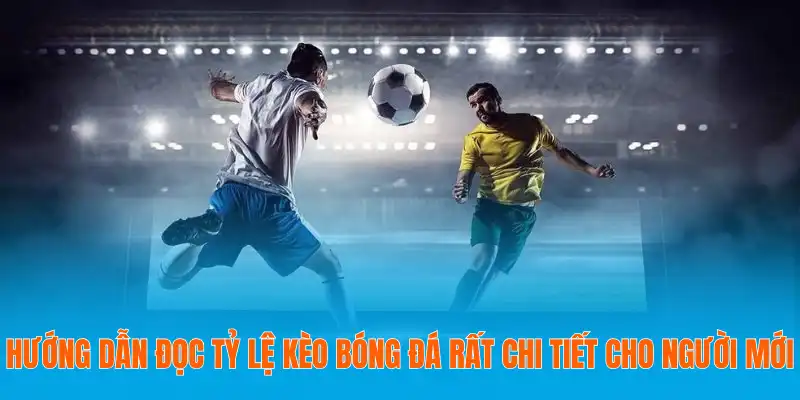 Hướng Dẫn Đọc Tỷ Lệ Kèo Bóng Đá Rất Chi Tiết Cho Người Mới 6 Hướng dẫn đọc tỷ lệ kèo bóng đá