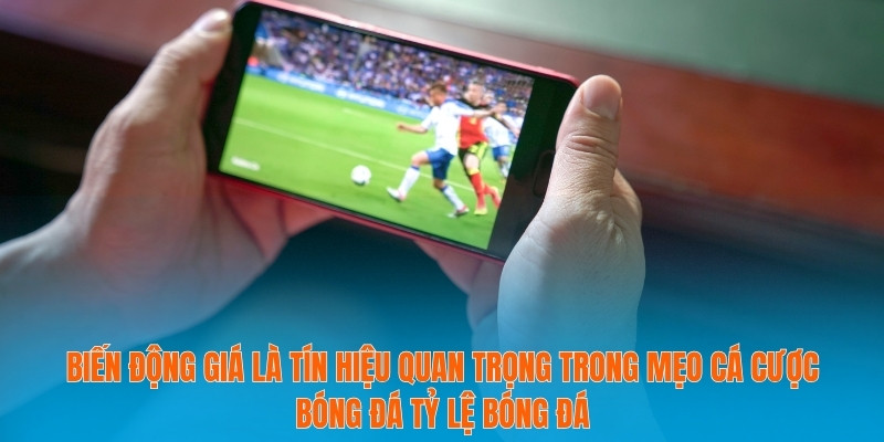 Mẹo Cá Cược Bóng Đá Tỷ Lệ Bóng Đá Dành Cho Dân Chơi 2 Biến động giá là tín hiệu quan trọng trong mẹo cá cược bóng đá tỷ lệ bóng đá