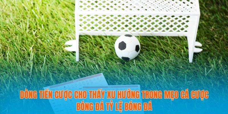 Mẹo Cá Cược Bóng Đá Tỷ Lệ Bóng Đá Dành Cho Dân Chơi 4 Dòng tiền cược cho thấy xu hướng trong mẹo cá cược bóng đá tỷ lệ bóng đá