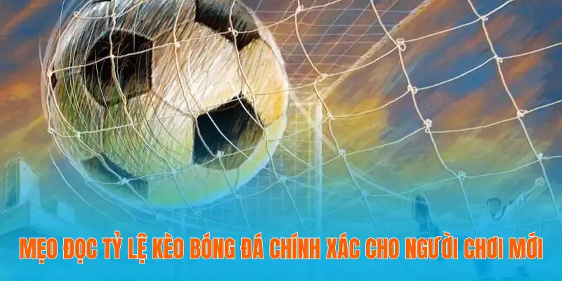 Mẹo Đọc Tỷ Lệ Kèo Bóng Đá Chính Xác Cho Người Chơi Mới 2 mẹo đọc tỷ lệ kèo bóng đá