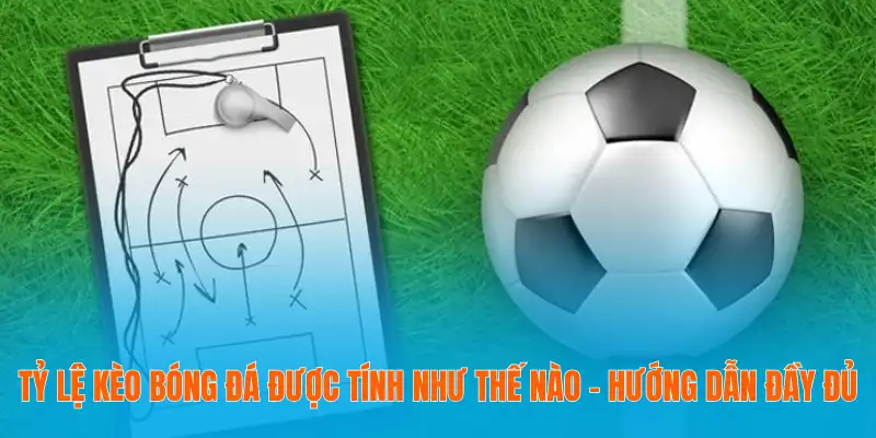 Tỷ Lệ Kèo Bóng Đá Được Tính Như Thế Nào - Hướng Dẫn Đầy Đủ 1 Tỷ Lệ Kèo Bóng Đá Được Tính Như Thế Nào